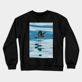 White-vented Storm-petrel Galápagos Islands Crewneck Sweatshirt